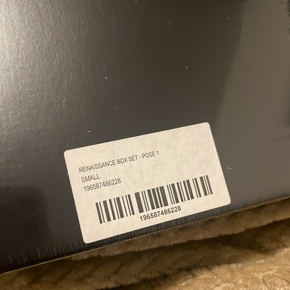 Brand New Beyonce Act I Renaissance Box - Pose 1 - Small - Picture 3 of 3